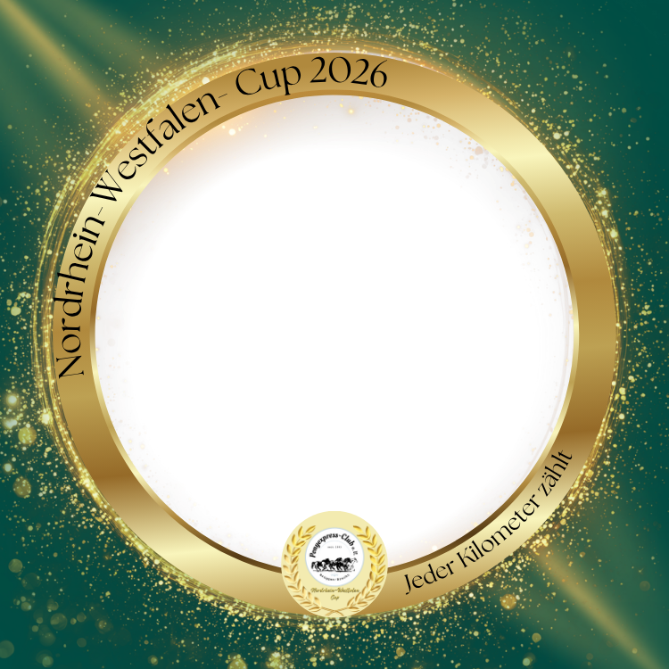 Vorschau: Profilrahmen für Social Media