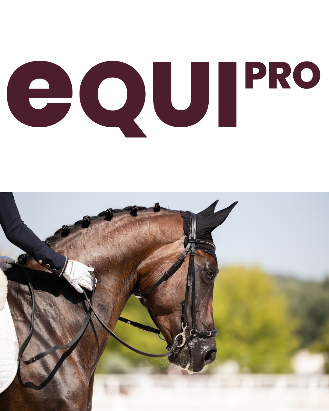 equipro Reitsimulator