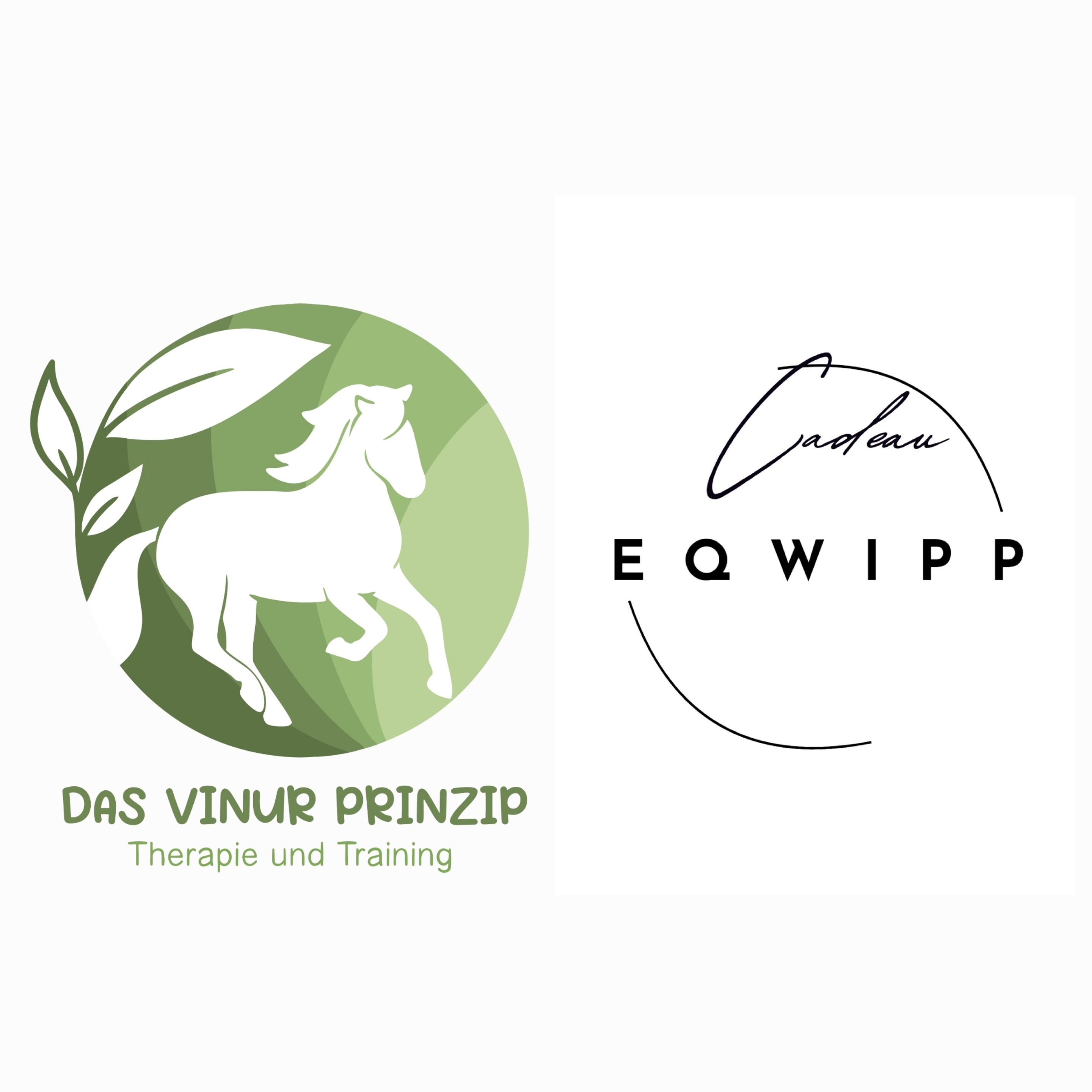 Das Vinur Prinzip und Eqwipp Pferdewippen